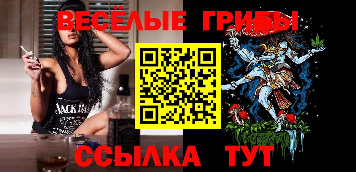 Галлюциногенные грибы MAGIC MUSHROOMS  Вход с VPN  Сланцы 